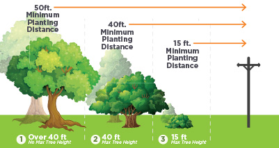 Tree Planting Distances